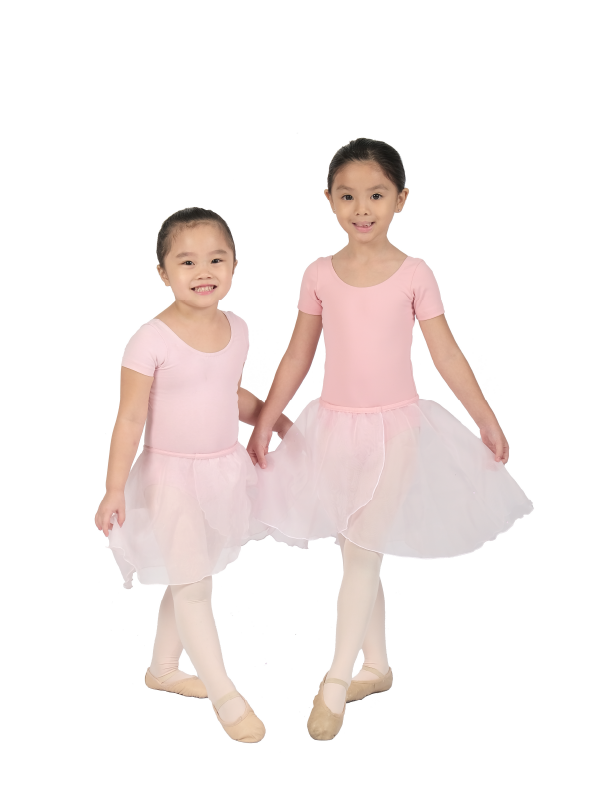 Fine momentum ballet classes for kids student doing ballet poses